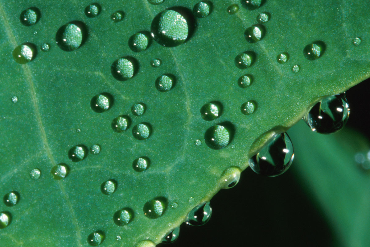 Ist eine Einäscherung umweltfreundlich? (Bild: inmagine)